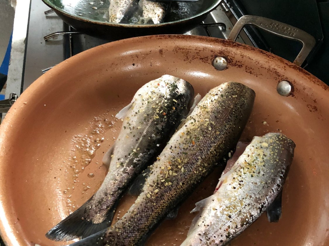 Chena River Lakes Recreation Area-北极必去景点