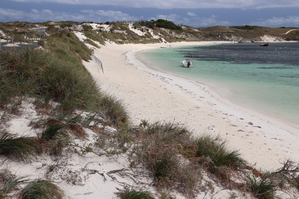 Lady Edeline Beach-罗特尼斯岛必去景点