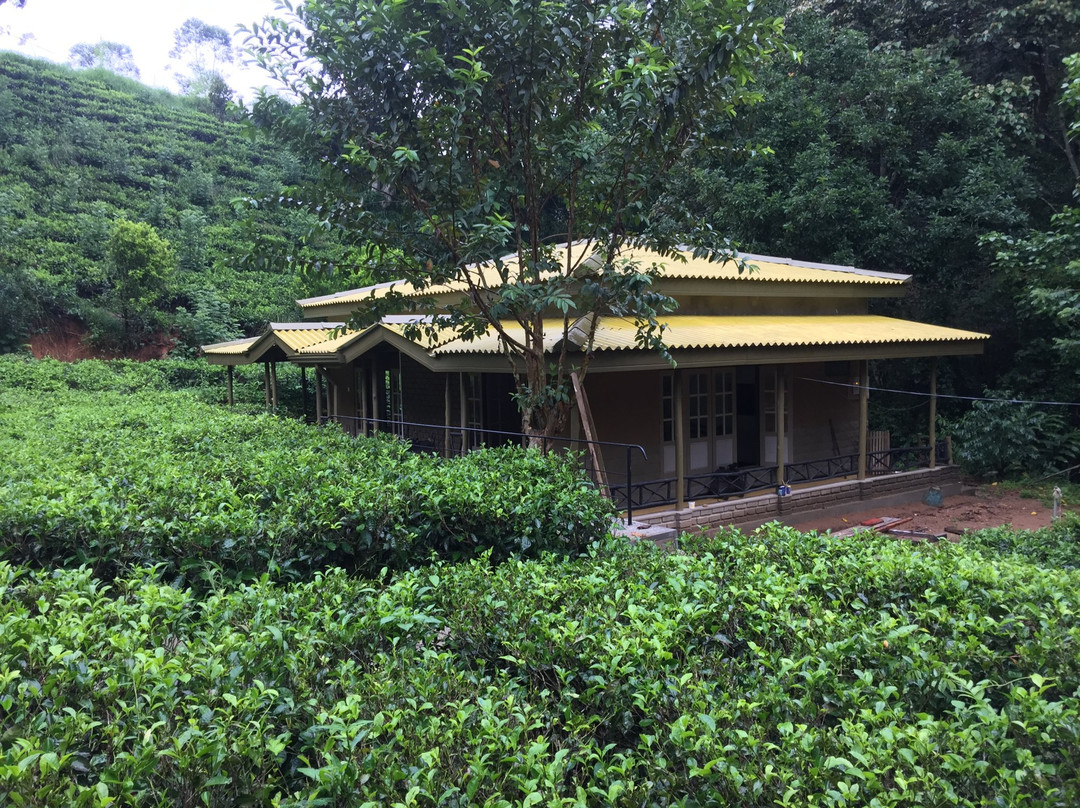 Train View Chalet主图