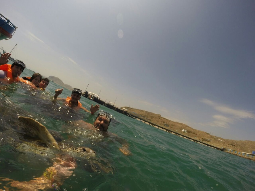 Nadando con Tortugas en El Nuro景点图片
