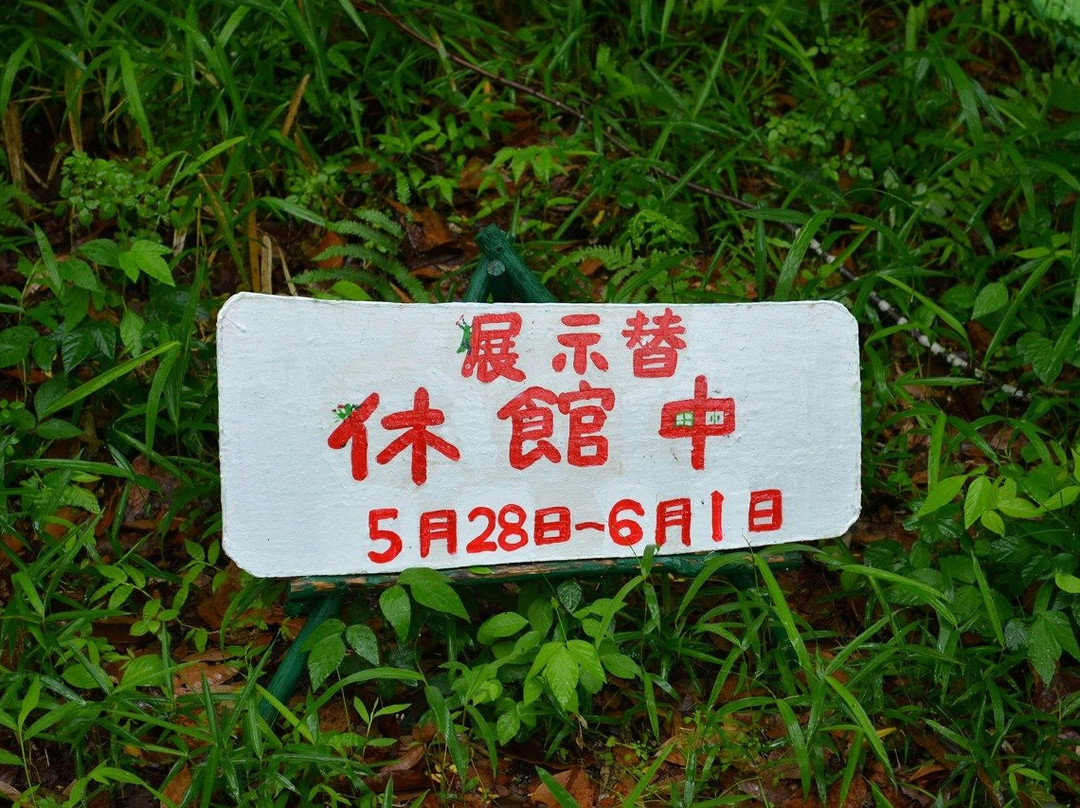Kijo Ehon No Sato景点图片