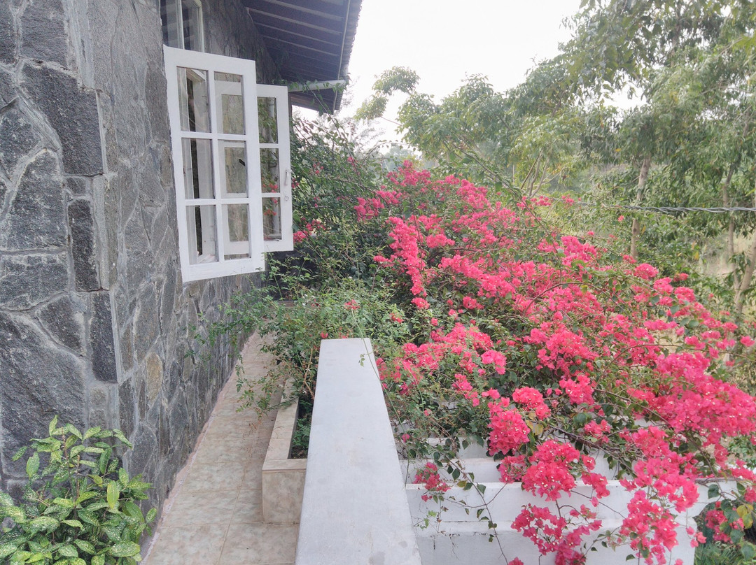 The Rock House主图