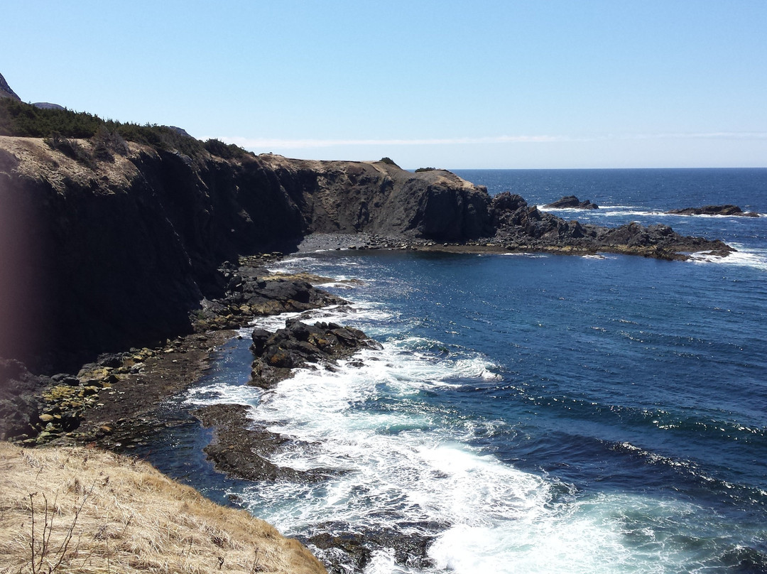 Trout River旅游攻略图片