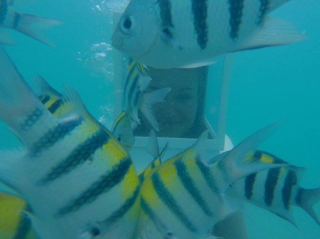 海底漫步-Thong Krut必去景点