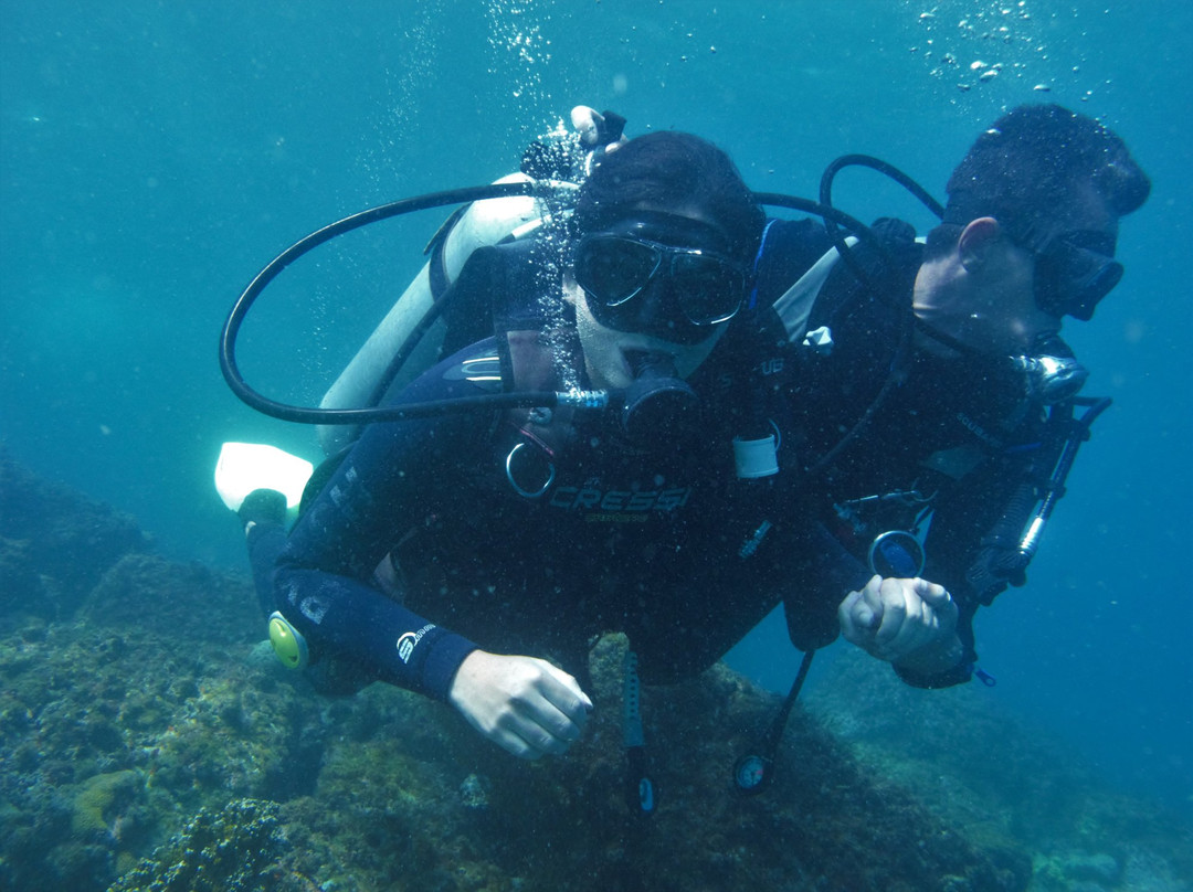 By Fish Mergulho-Dive Center-阿拉伊阿尔港必去景点