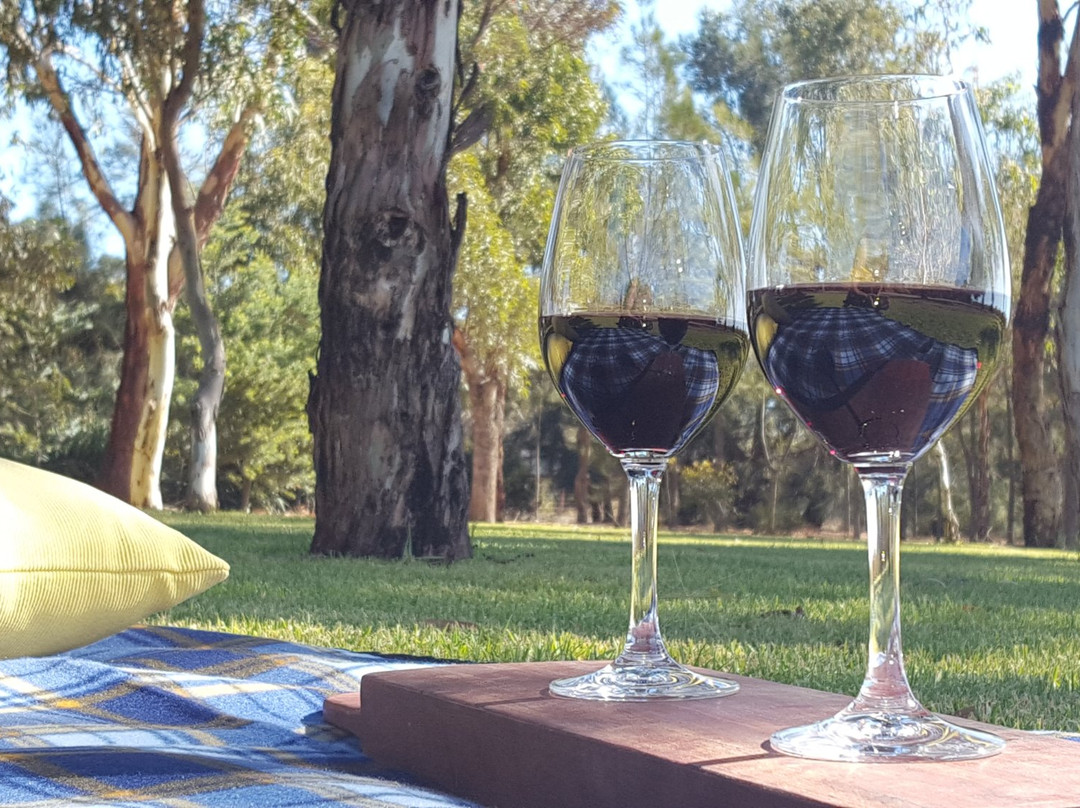 Vineyard Road Cellar Door-Belvidere必去景点