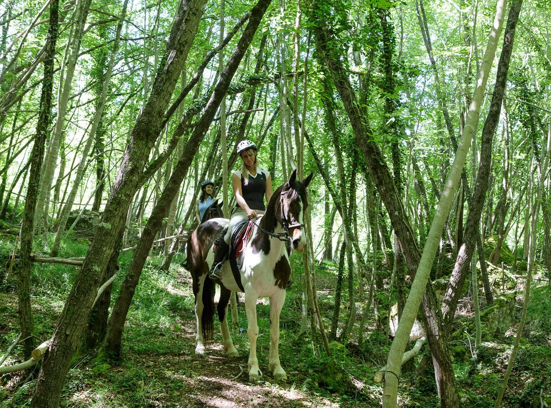 Borgo Pignano Horseback Riding景点图片