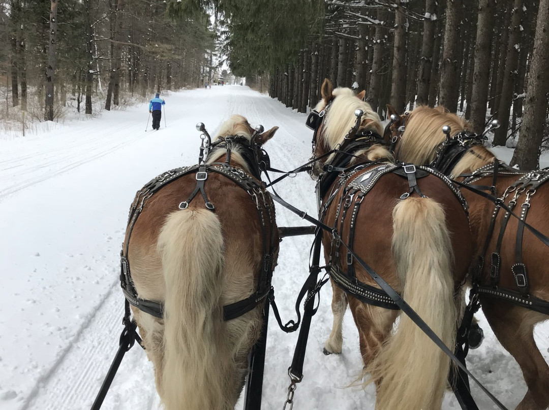 Highland Forest-Fabius必去景点