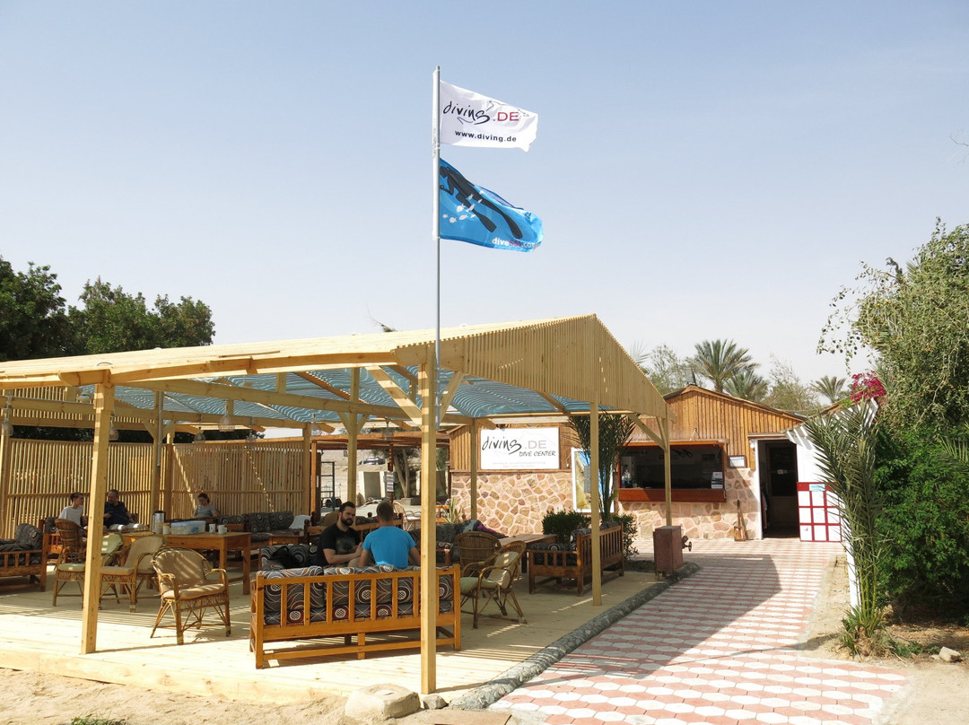 Diving El Flamenco-艾尔可西利亚必去景点