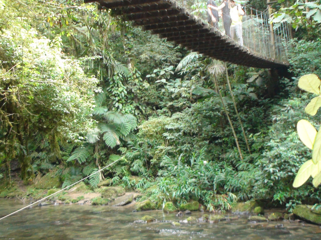 Cachoeira das Andorinhas-伊波兰加必去景点