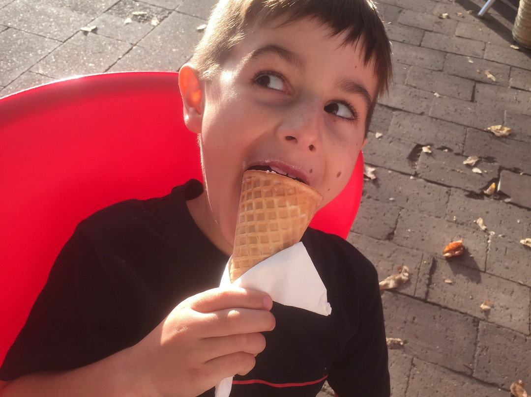 The Fudge Shop-汉道夫德国村必去景点