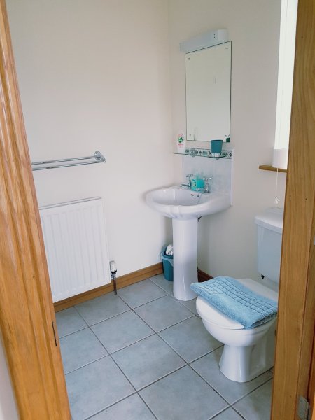 Kilcreeny Lodge-浴室