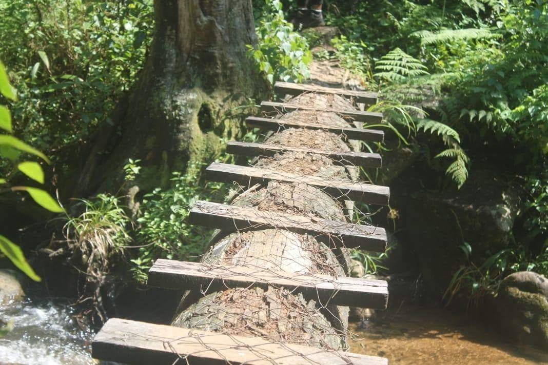 Magoebaskloof Hiking Trail-参宁必去景点