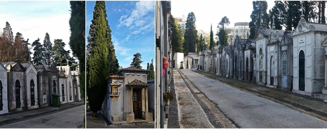 Cemiterio dos Prazeres景点图片