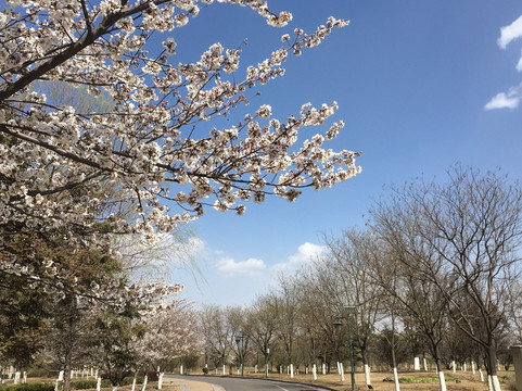 唐山南湖紫天鹅大酒店主图