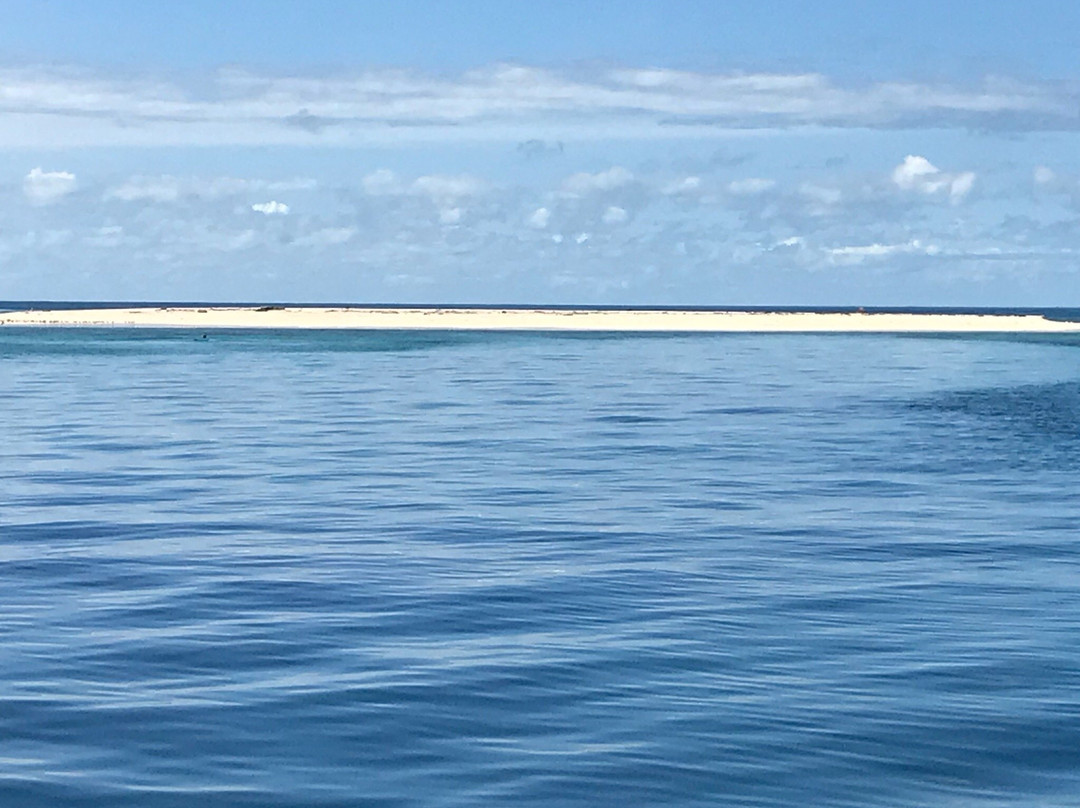 Sailaway Cape Tribulation-Cape Tribulation必去景点