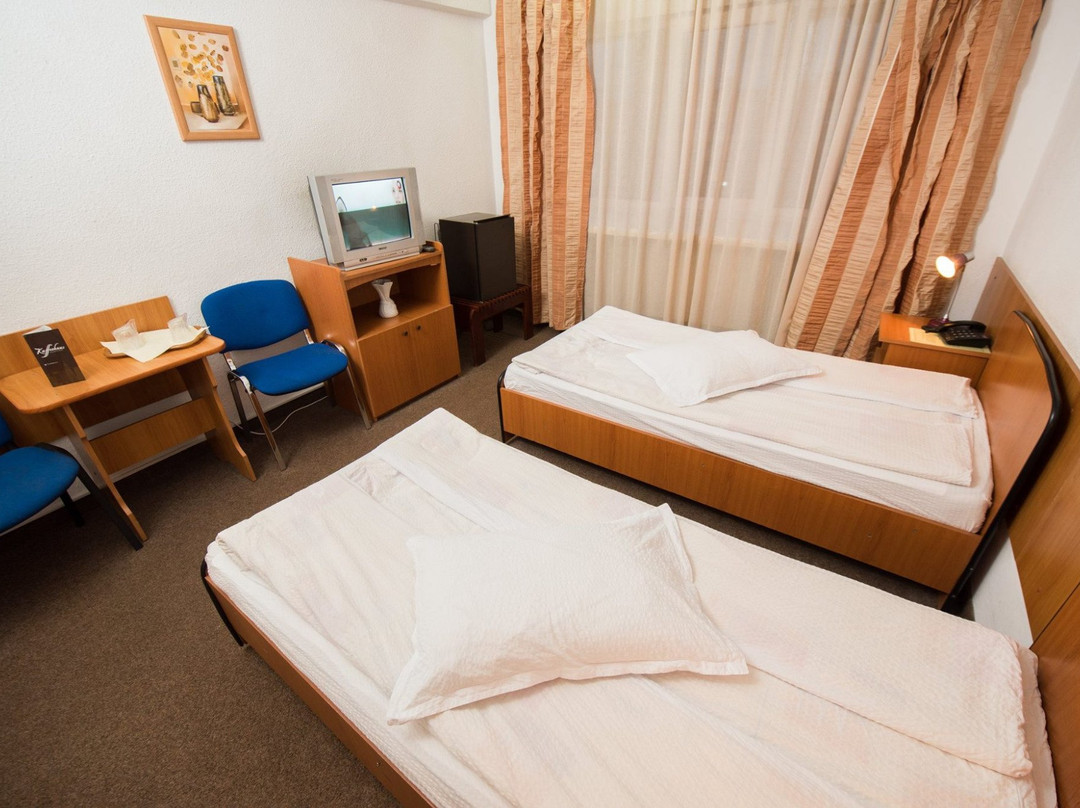 Hotel Bucovina主图