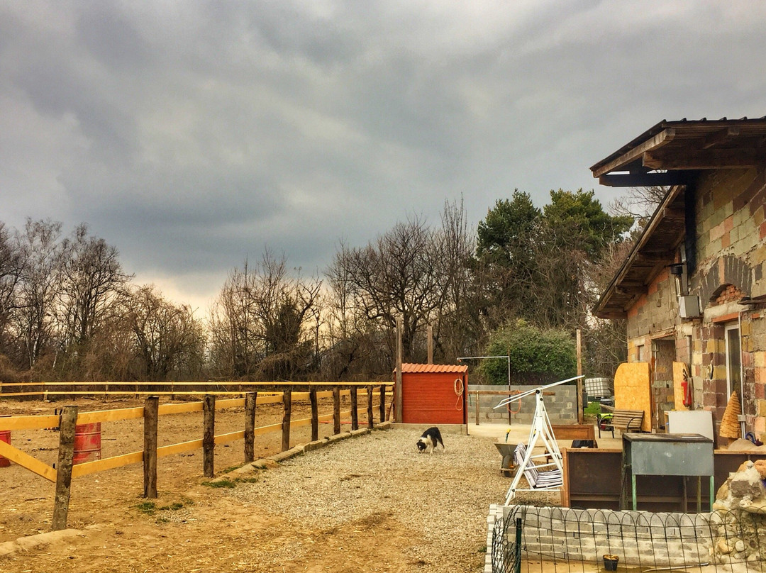 Cagno旅游攻略图片