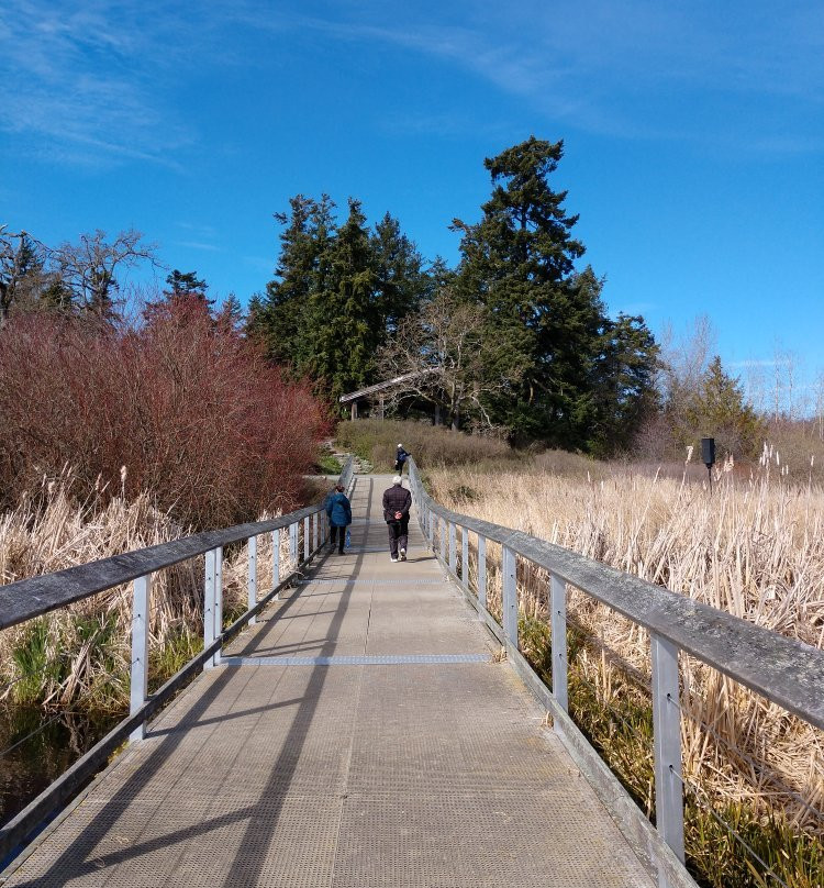 Swan Lake Christmas Hill Nature Sanctuary景点图片