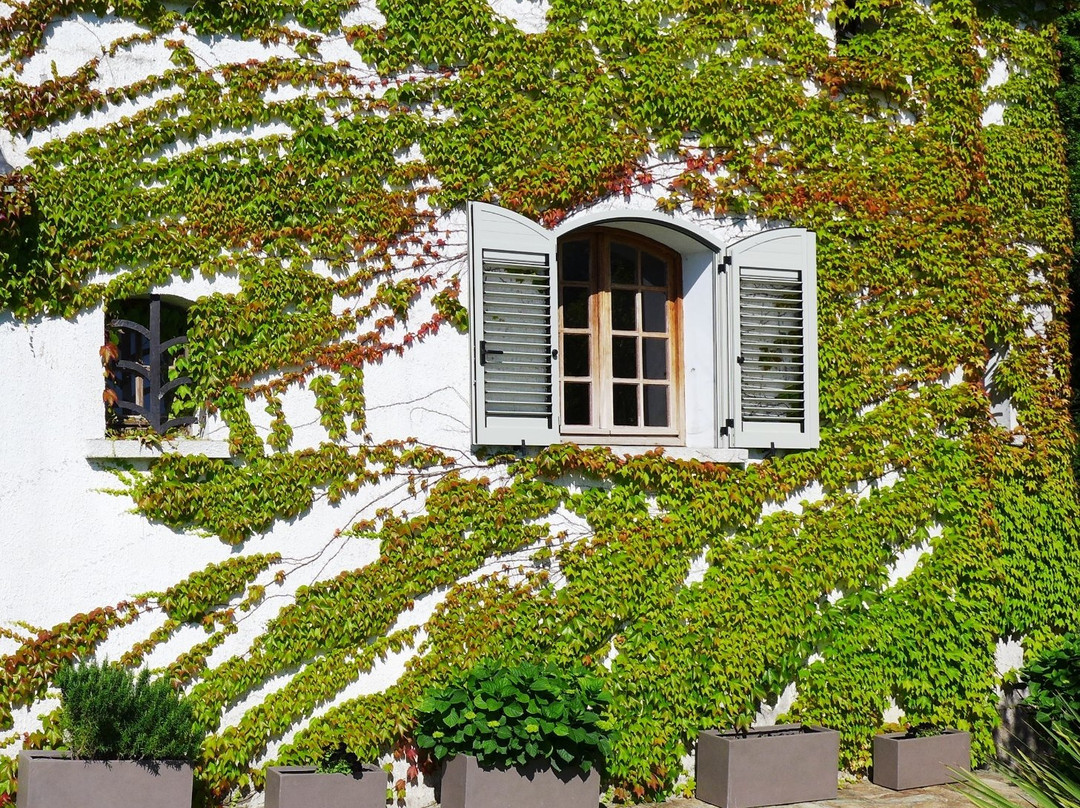 Villa Elisabeth主图