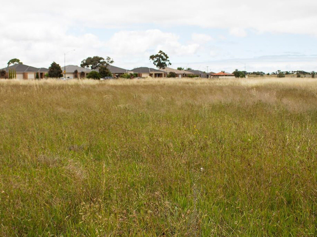 Iramoo Wildflower Grassland Reserve景点图片