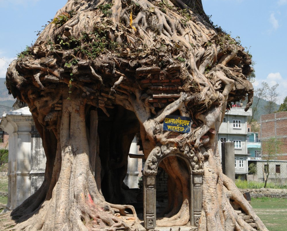 Gokarneshwor Mahadev Temple景点图片