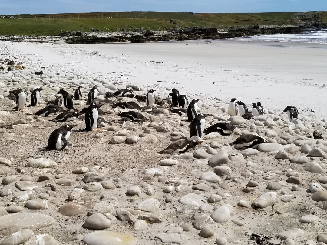 Penguin Travel-Stanley必去景点