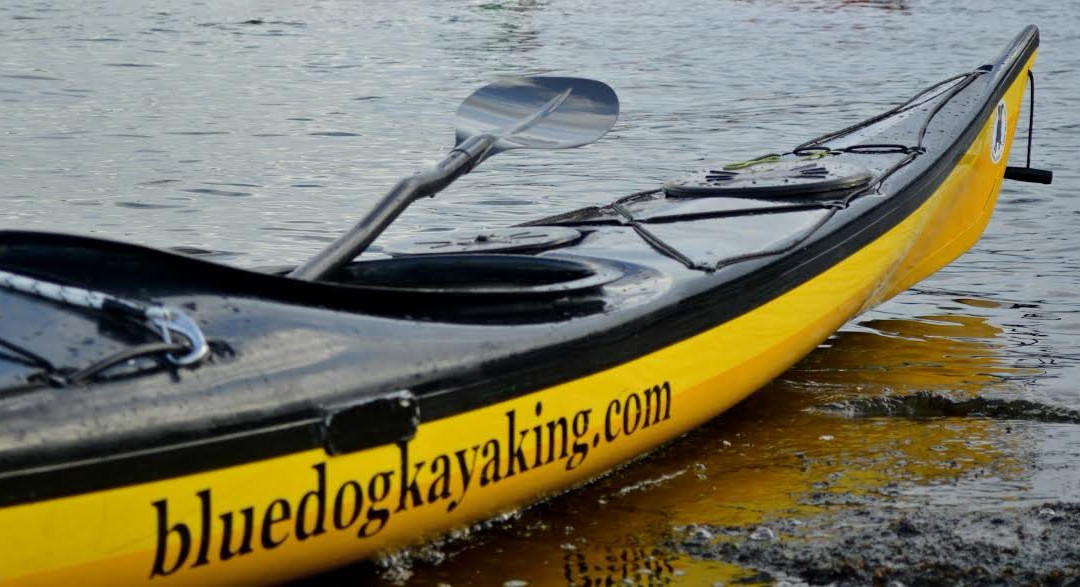 Blue Dog Kayaking景点图片