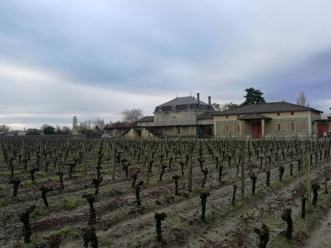Chateau Clos Saint Emilion Philippe-圣埃美隆必去景点
