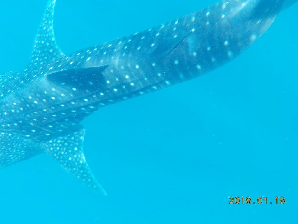 Arta Beach-Arta必去景点