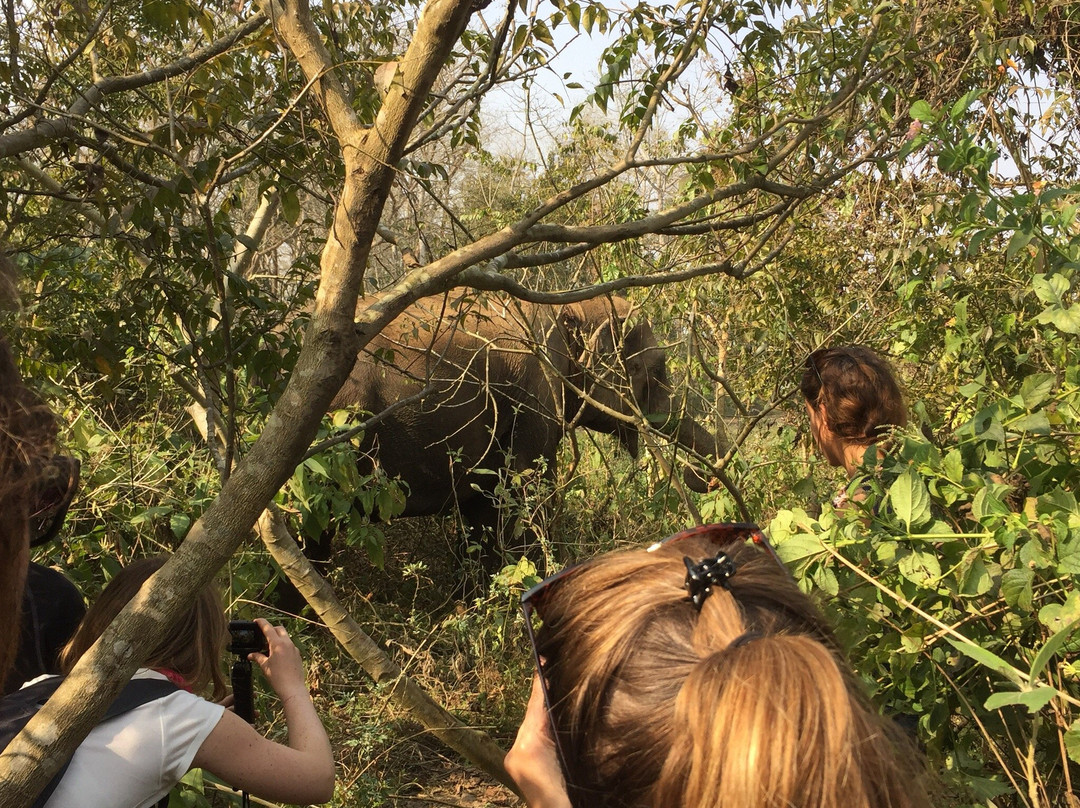 The SU4E Home-苏拉哈必去景点