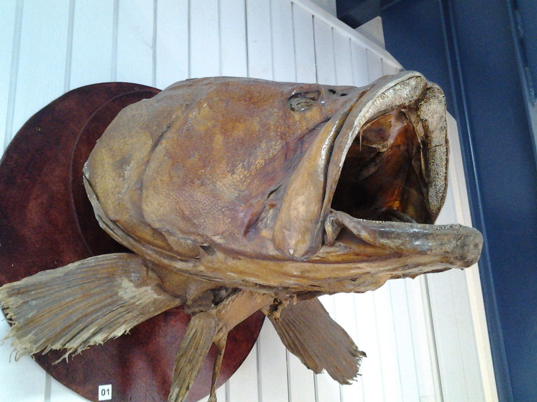 MUMA musée de mayotte (Musée De France)-Dzaoudzi必去景点