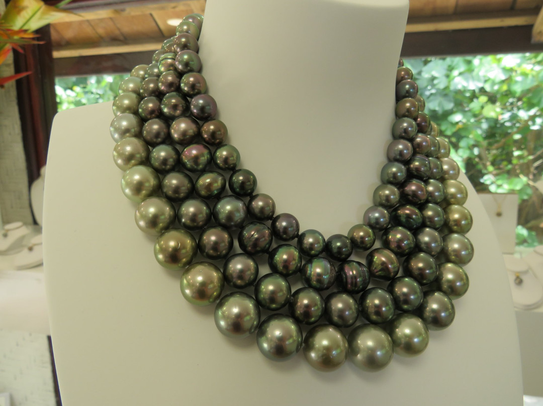 Pearlescence Tahitian Pearls and Mabe景点图片
