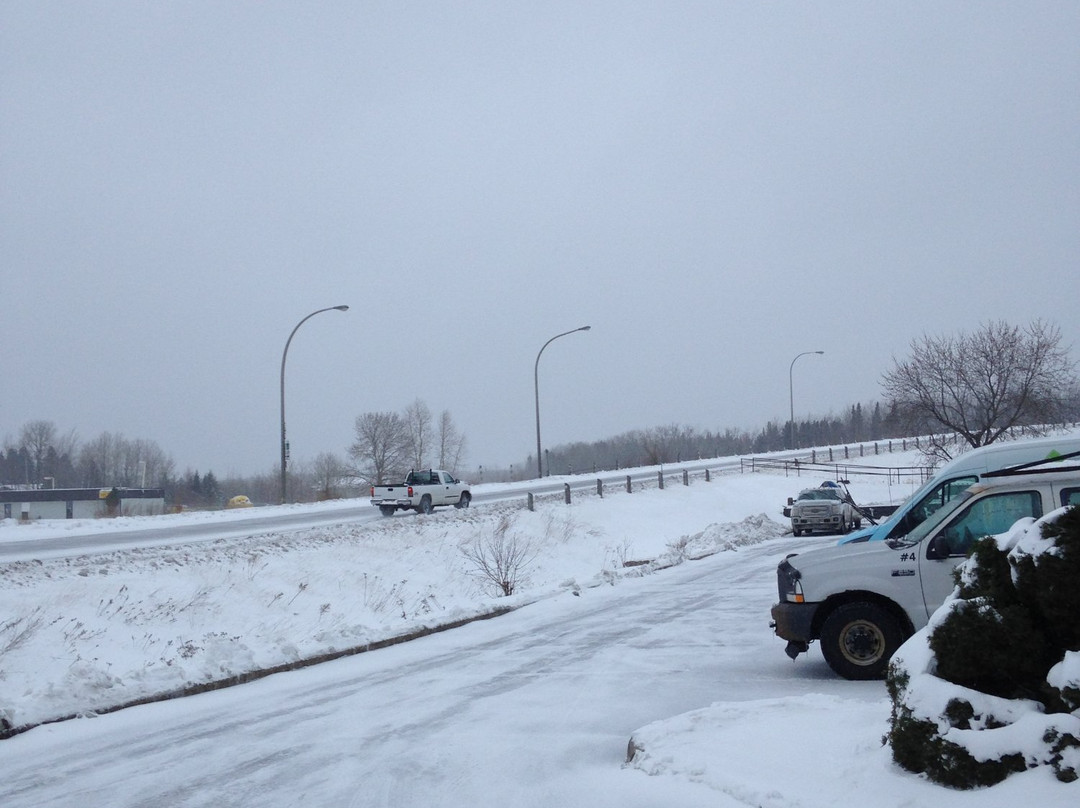 Comfort Inn Dryden主图