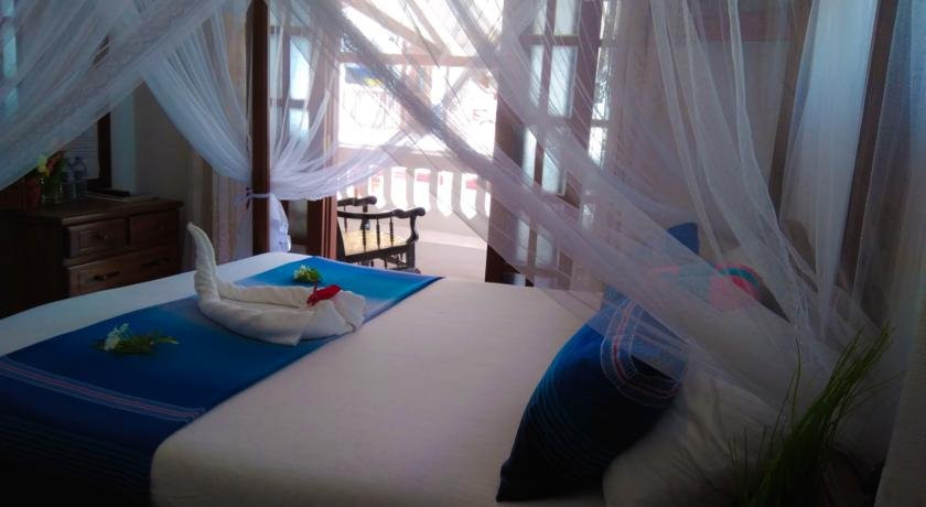 Galle Camellia主图