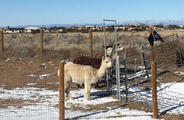 Wide Sky Ranch-圣菲必去景点