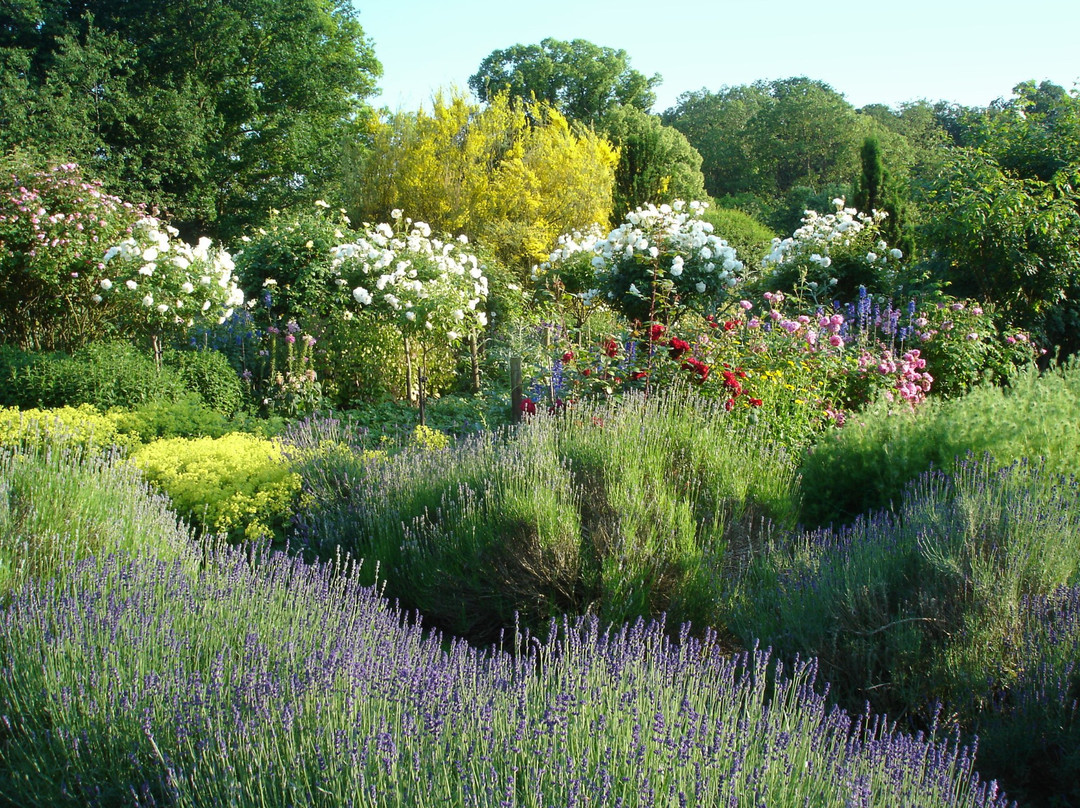 Spencers Garden景点图片