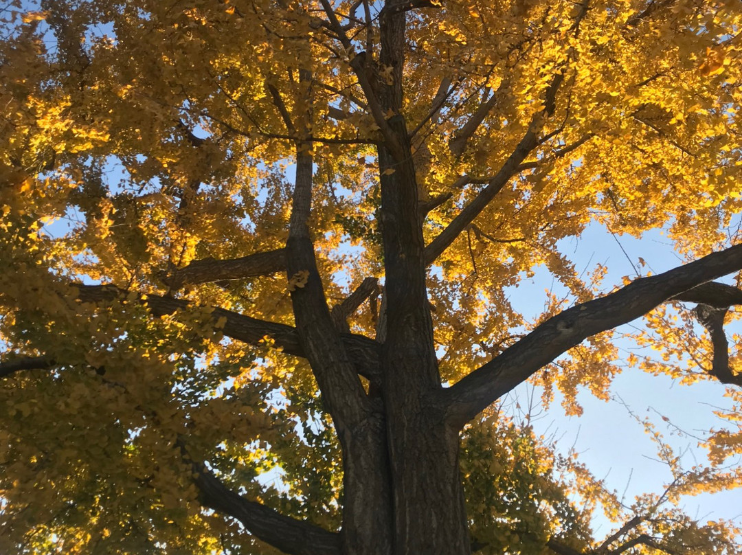 Homestead Museum-工业市必去景点