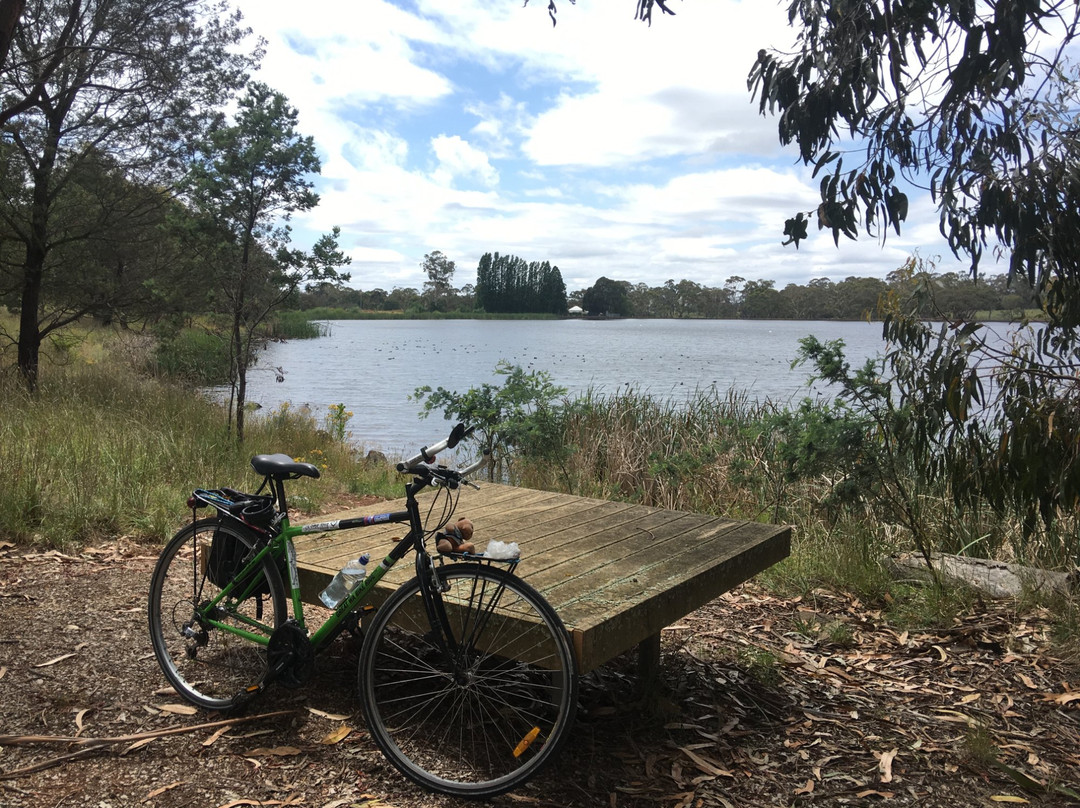 Gosling Creek Reserve-奥兰治必去景点