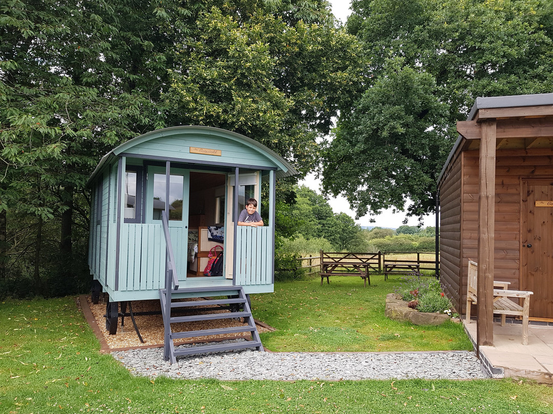 Glamping at Holly Grove Farm