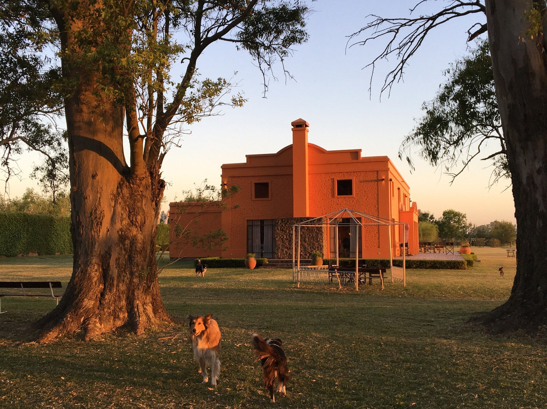 La Tarde Polo Club