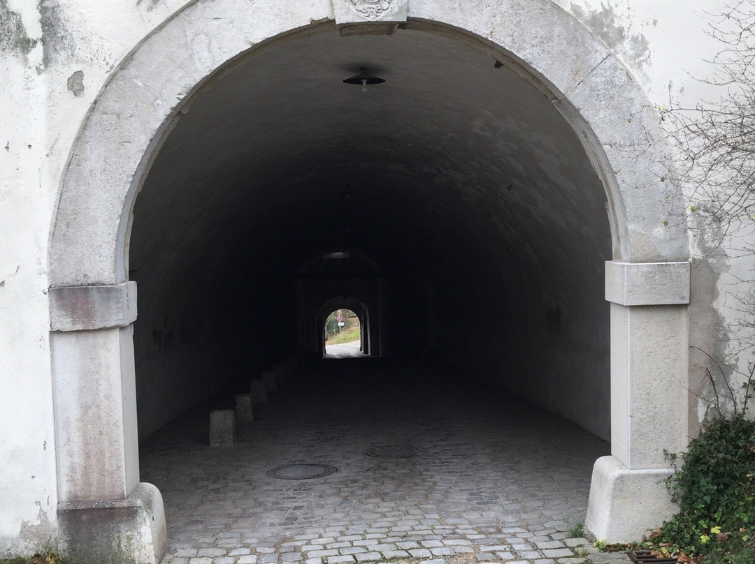 Castle Willibaldsburg主图