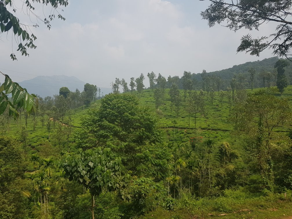 Muttil South酒店住宿-Green Garden Homestay - A Wandertrails Stay