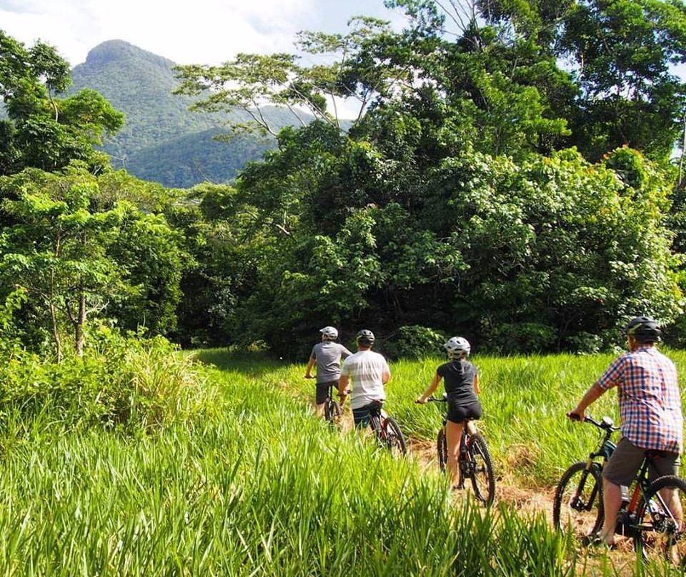 Freeride Electric Adventure Tours-Cape Tribulation必去景点