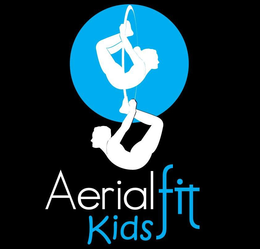 Pole & Aerial Fit Circus Academy景点图片