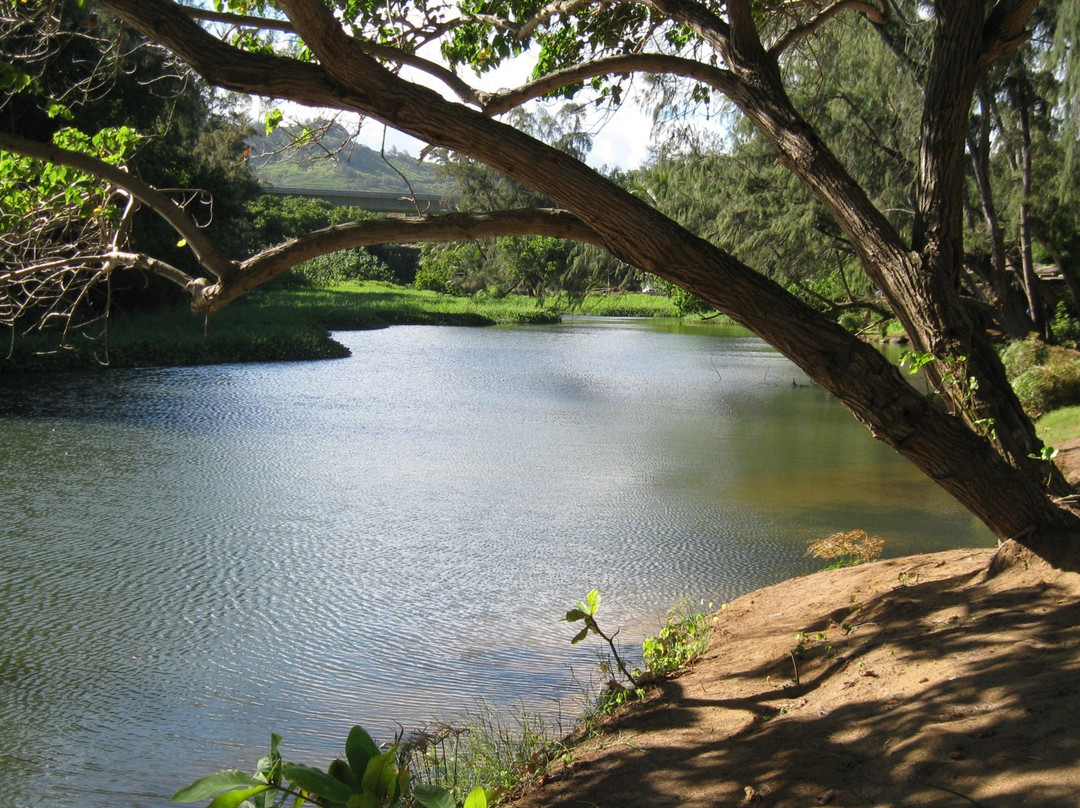 Hanamaulu Beach-可爱岛必去景点