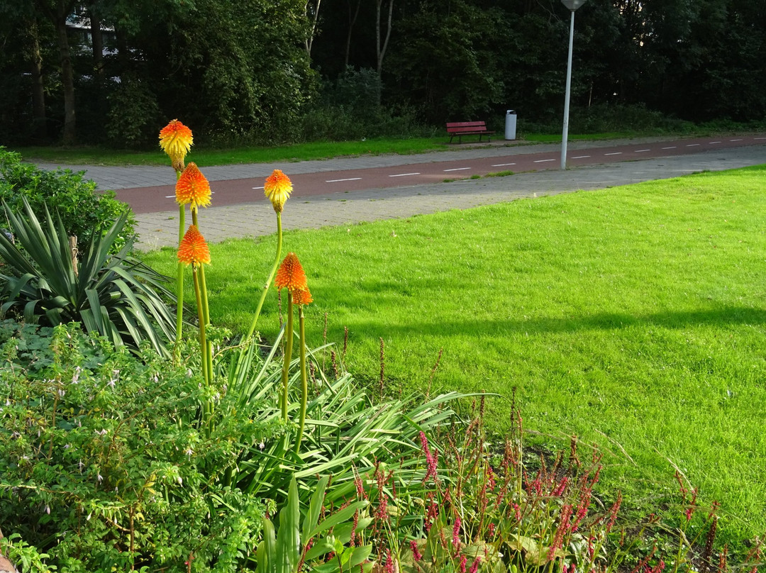 World Fashion Centre Amsterdam-阿姆斯特丹必去景点