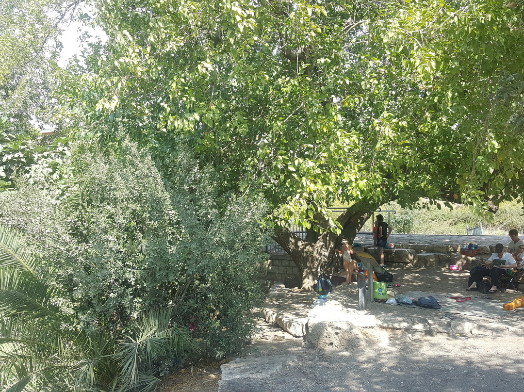 Alroi's Spring-Kiryat Tivon必去景点