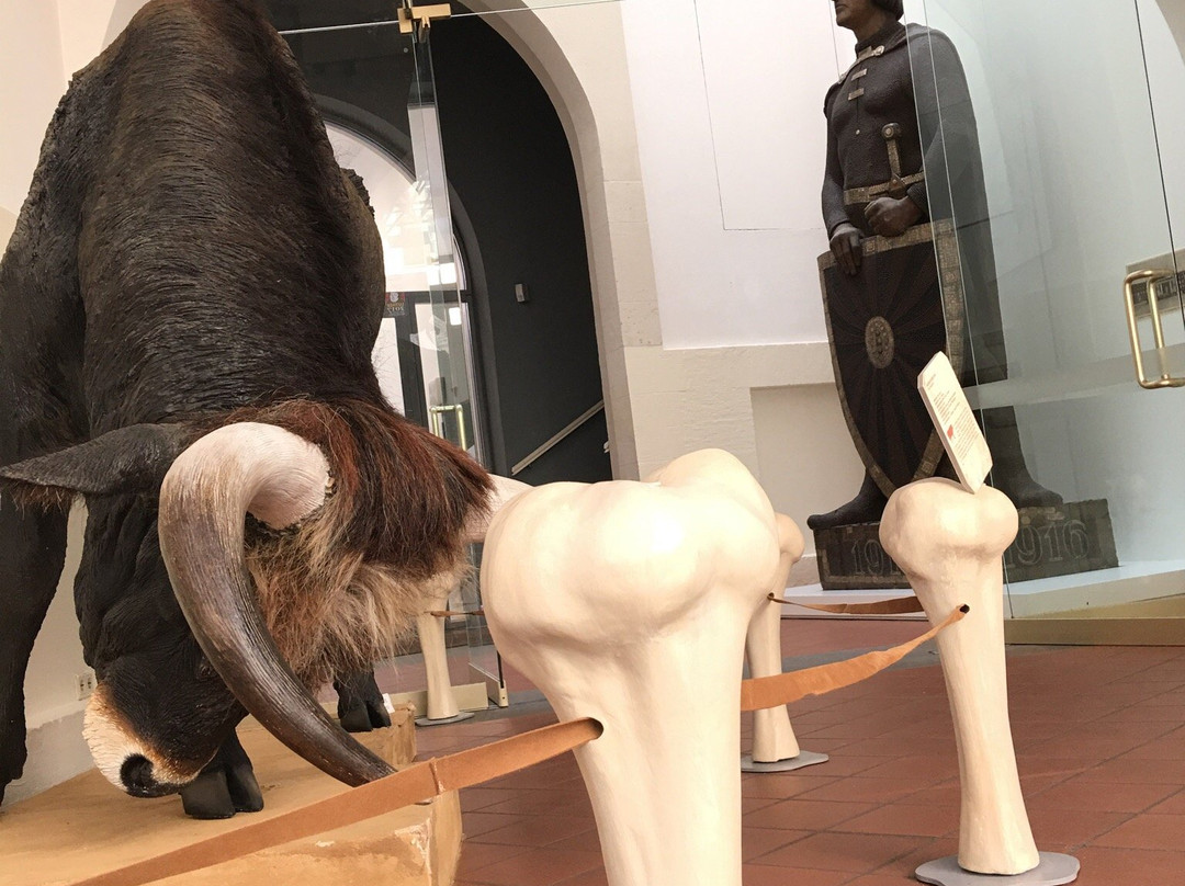 Braunschweigisches Landesmuseum-布伦瑞克必去景点
