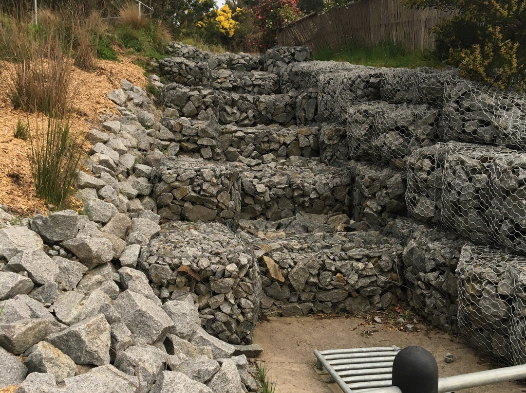 Casuarina Forest Reserve-Endeavour Hills必去景点